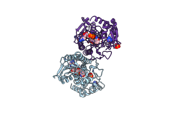 4GLL image