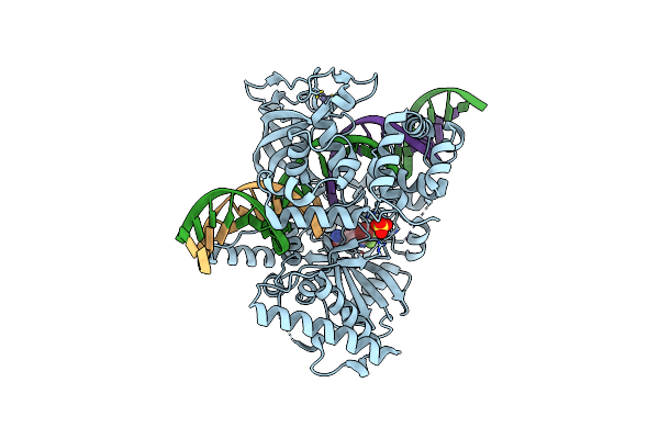 4GLX image
