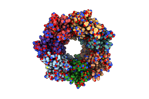 4GM2 image
