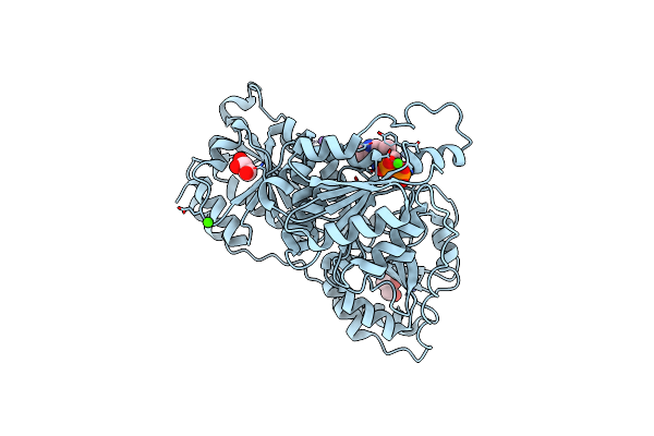 4GM4 image