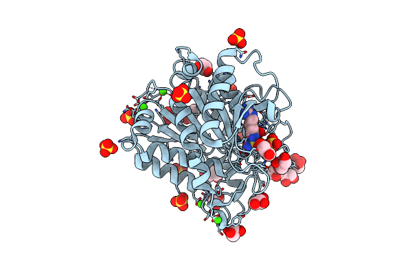 4GM5 image