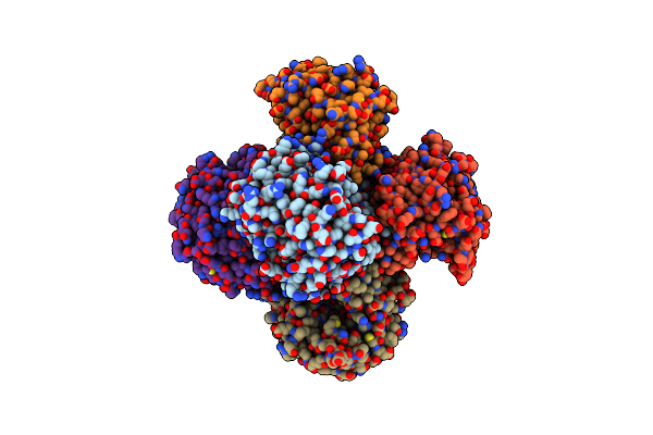 4GM6 image