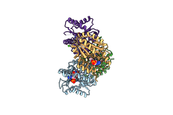 4GMD image