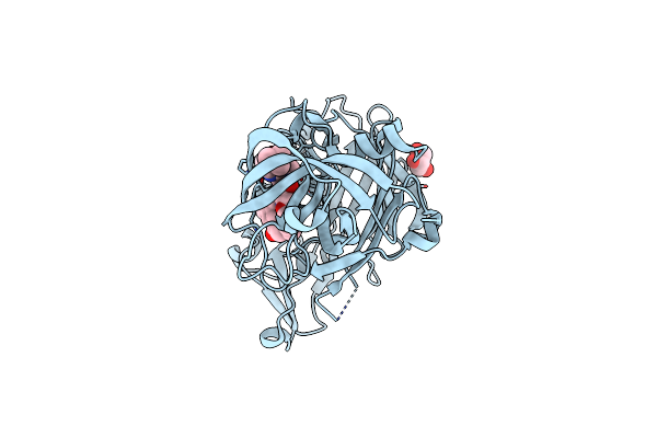 4GMI image