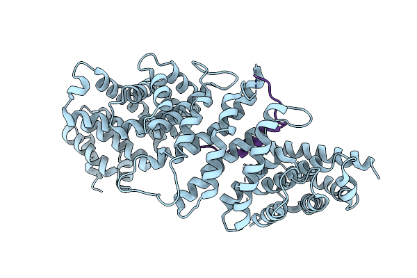 4GMN image