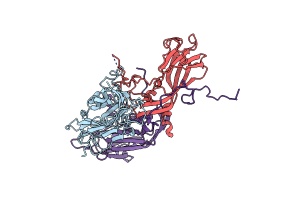 4GMP image