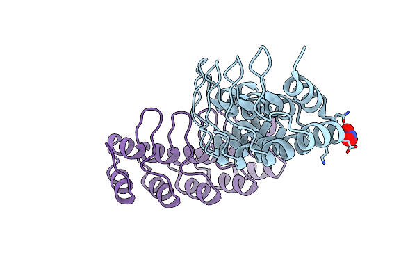 4GMR image