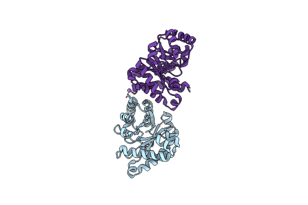 4GNJ image