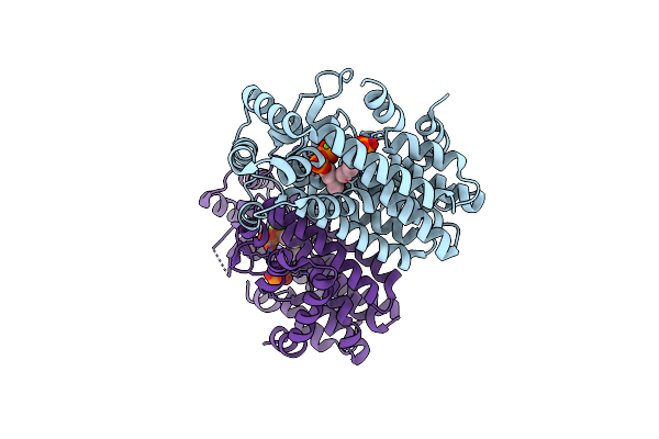 4GP2 image