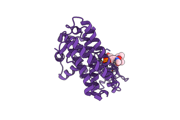 4GPL image