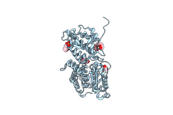 4GPQ image