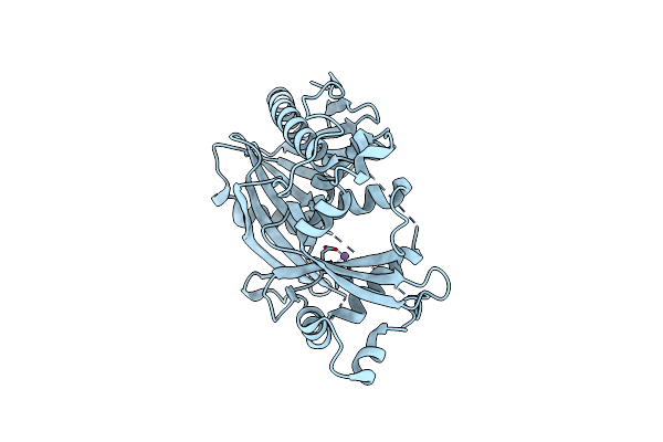 4GPU image