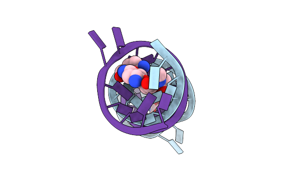 4GPX image