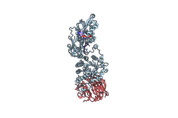 4GQB image