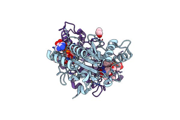 4GQI image