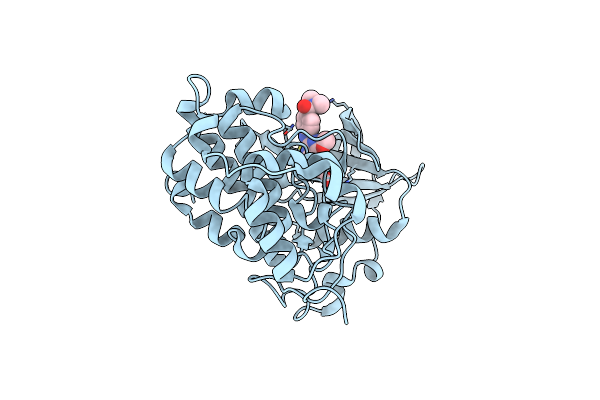 4GRB image