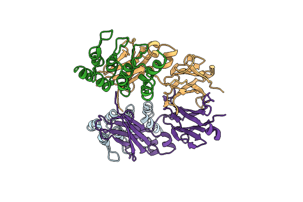 4GRG image