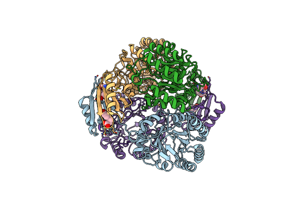 4GRS image