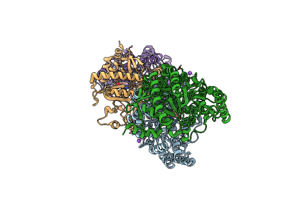 4GRX image