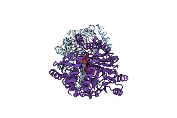 4GSA image