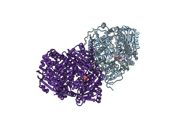 4GSF image