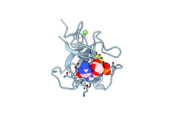 4GSP image