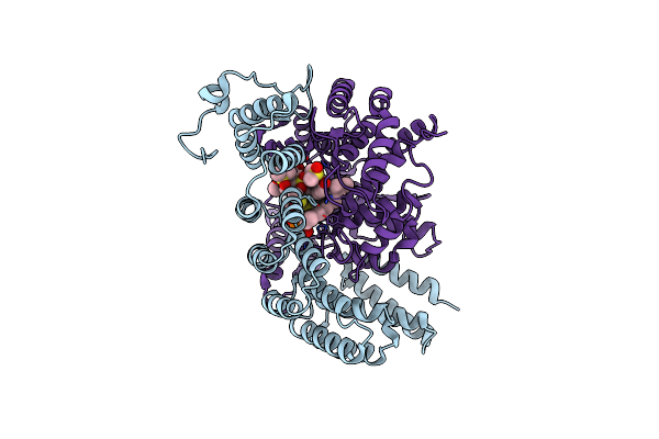 4GTP image