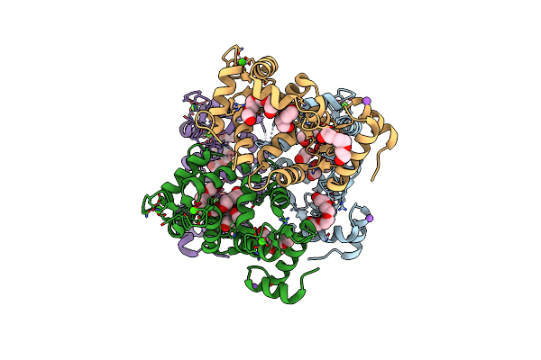 4GUK image