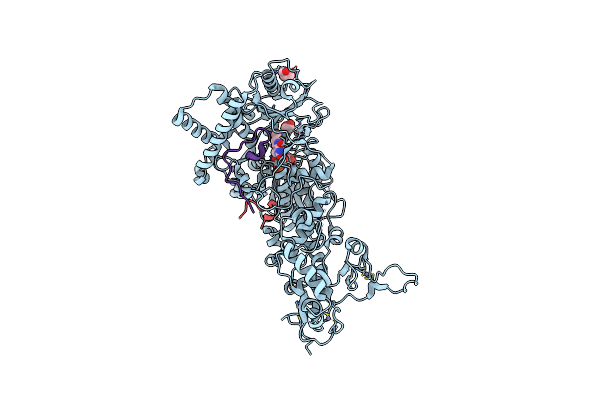4GUS image