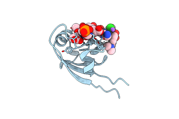 4GVC image