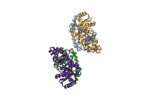 4GVP image