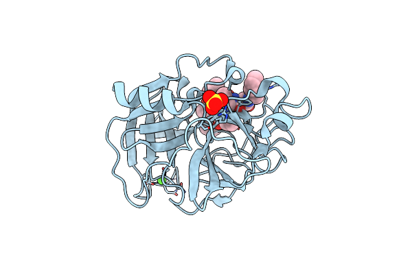 4GVU image