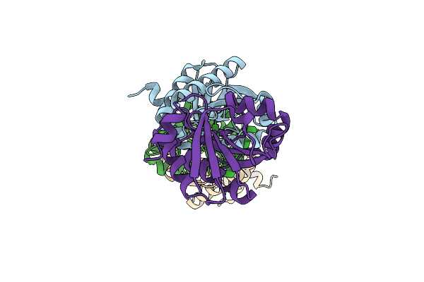 4GVV image