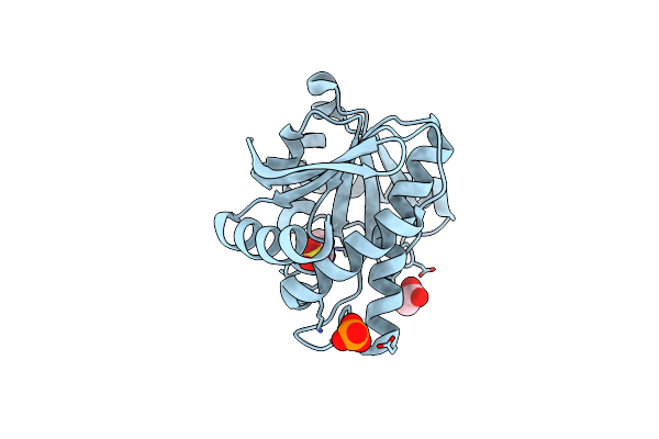 4GVW image
