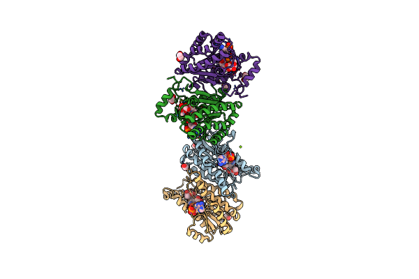 4GVX image