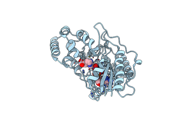 4GW0 image