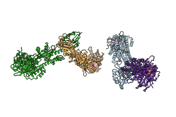 4GW9 image