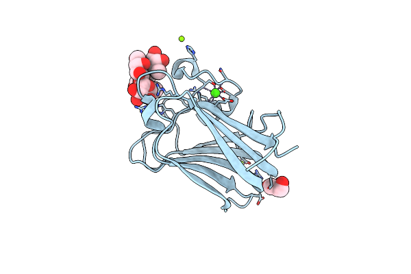 4GWI image
