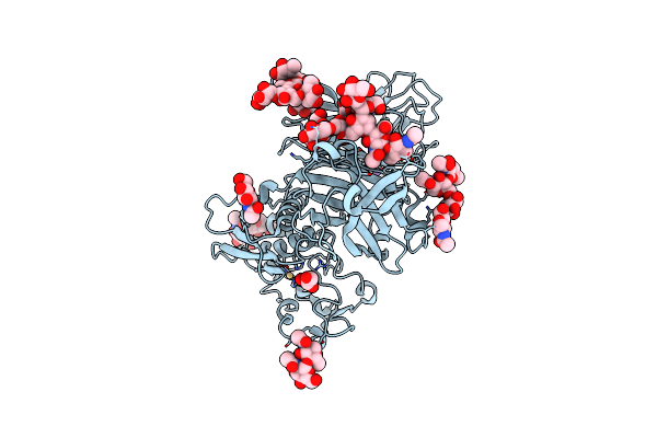 4GWN image