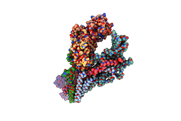 4GWP image