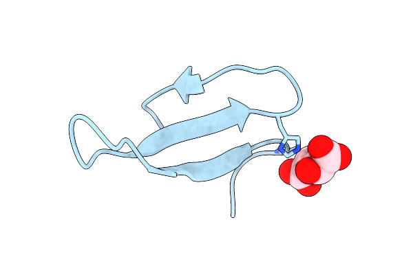 4GWT image