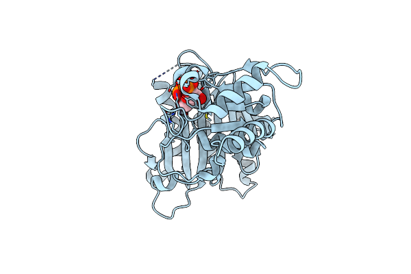 4GWU image