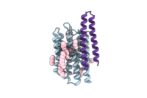 4GYC image