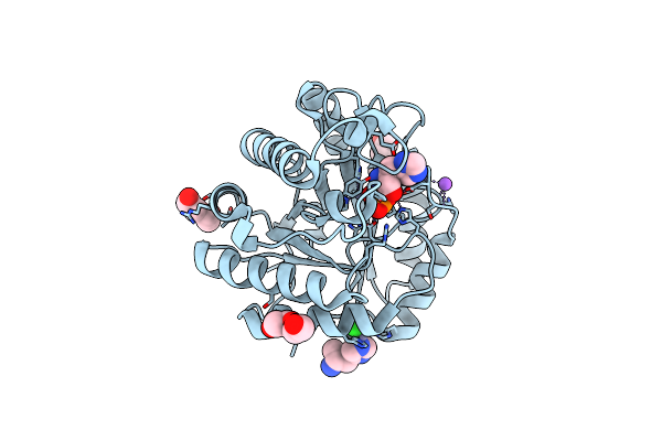 4GYF image