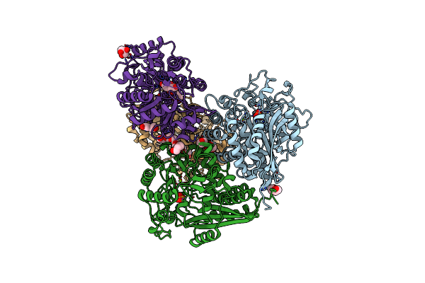 4GYP image