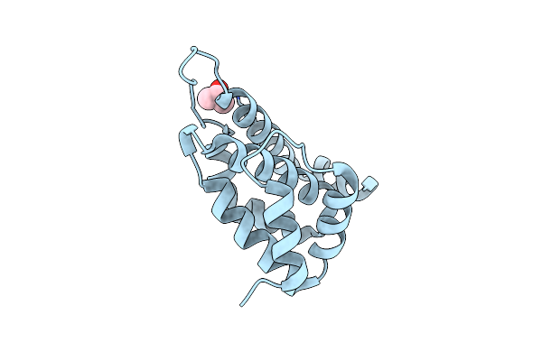 4GZD image