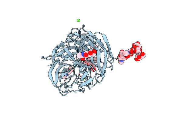 4GZQ image