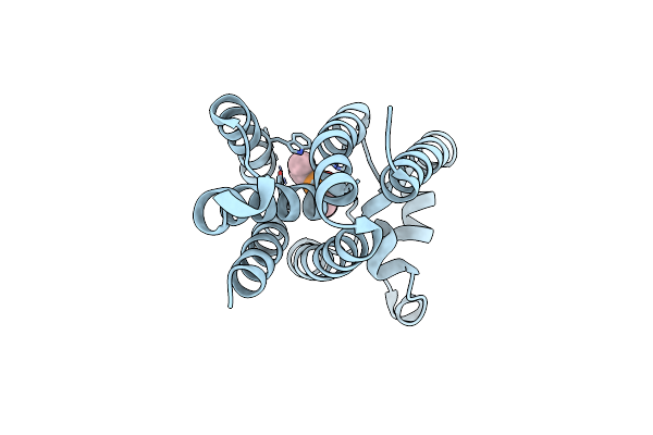4H1D image