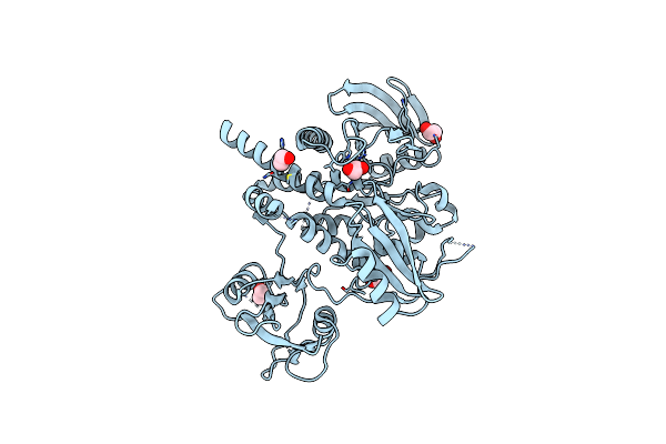 4H1O image