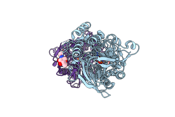 4H1S image